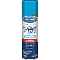 Nettoyant tout usage Pro Line Crazy Clean, 19 oz., Canette a&eacute;rosol FMT Sales Ltd