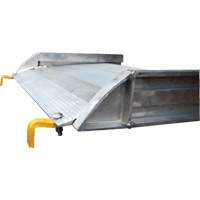 Rampe de promenade en aluminium, Capacit&eacute; de 1000 lb, 38" la x 193-1/8" lo FMT Sales Ltd