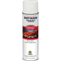 Water Based Marking Paint, 17 oz., Aerosol Can FMT Sales Ltd