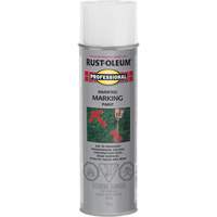 Inverted Marking Paint Spray, 426 g, Aerosol Can FMT Sales Ltd