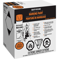 Inverted Marking Paint Spray, Aerosol Can FMT Sales Ltd