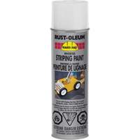 Inverted Marking Paint Spray, White, Aerosol Can FMT Sales Ltd