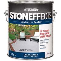 Stoneffects Protective Concrete Sealer, 3.78 L, Water-Based, Transparent, Clear FMT Sales Ltd