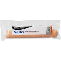 Mini couvre-rouleau Master Enameler, Nap 6 mm (1/4"), 165,1 mm (6-1/2") l FMT Sales Ltd