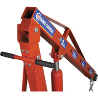 Grues d'atelier escamotables de 2 tonnes, Capacit&eacute; 4000 lb (2 tonnes) FMT Sales Ltd