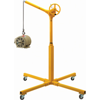 Tall Industrial Lifting Device with Mobile Base, 500 lbs. (0.25 tons) Capacity FMT Sales Ltd