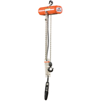 Palans &eacute;lectriques ShopStar, Lev&eacute;e 10', Capacit&eacute; 1000 lb (0,5 tonne), 6 pi/min FMT Sales Ltd