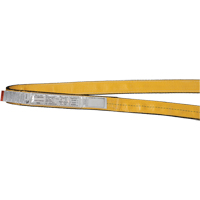 Polyester Slings, Single Ply, Endless, Type 5, 1" W x 3' L, 3200 lbs. Vertical Cap. FMT Sales Ltd