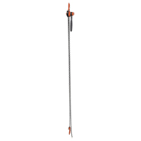 Mini palan &agrave; levier, Lev&eacute;e 10', Cabacit&eacute; 1000 lb (0,5 tonne), Chaîne en Acier FMT Sales Ltd