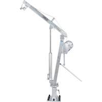 Winch Operated Truck Jib Crane, 1000 lbs. (0.5 tons) Capacity, 97" Max. Clearance FMT Sales Ltd