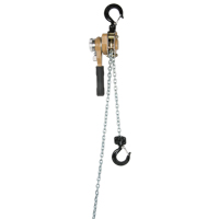 Palan &agrave; levier pour charges lourdes de s&eacute;rie Gold, Lev&eacute;e 5', Cabacit&eacute; 3000 lb (1,5 tonne), Chaîne en Acier alli&eacute; FMT Sales Ltd