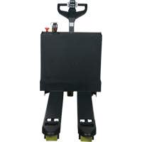 Fully Powered Electric Pallet Truck, 4500 lbs. Cap., 48" L x 30.25" W FMT Sales Ltd