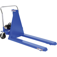 Electric Skid Lift, Steel, 2500 lbs. Capacity FMT Sales Ltd
