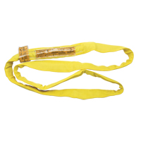 &eacute;lingue de levage en polyester ronde, Jaune, 2-1/2" la x 3' lo, 9000 lb Charge verticale FMT Sales Ltd