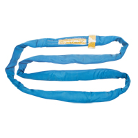 &eacute;lingue de levage en polyester ronde, Bleu, 4" la x 8' lo, 23 000 lb Charge verticale FMT Sales Ltd