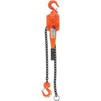 Lever Hoist, 10' Lift, 1500 lbs. (0.75 tons) Capacity, Alloy Steel Chain FMT Sales Ltd