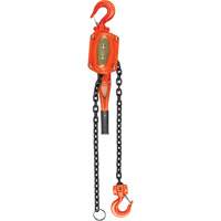 Lever Hoist, 10' Lift, 1500 lbs. (0.75 tons) Capacity, Alloy Steel Chain FMT Sales Ltd