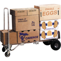 Gemini&reg; Convertible Hand Trucks, Aluminum, 1000 lbs. Capacity FMT Sales Ltd
