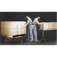 Spring-Operated Pallet Lifters - Pallet Pal&reg;, 43-5/8" L x 43-5/8" W, 4500 lbs. Cap. FMT Sales Ltd