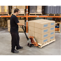 Heavy-Duty Manual Pallet Truck, Steel, 48" L x 27" W, 5500 lbs. Capacity FMT Sales Ltd