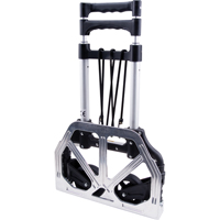 Folding Hand Truck, Aluminum, 175 lbs. Capacity FMT Sales Ltd