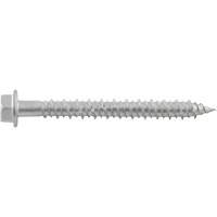 Vis de scellement Aggre-Gator, 1/4" x 1-1/4" lo, Acier inoxydable FMT Sales Ltd