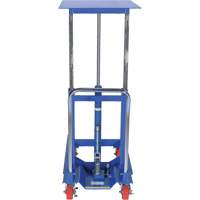 Lift Table, 30"L x 24"W, Steel, 2000 lbs. Capacity FMT Sales Ltd