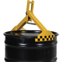 Hoist Drum Lifter, 1000 lbs./454 kg Cap. FMT Sales Ltd