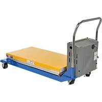 DC Powered & Manual Scissor Lift Table, Steel, 48" L x 24" W, 1000 lbs. Capacity FMT Sales Ltd