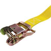 Tendeur d'arrimage &agrave; cliquet, Syst&egrave;me E-Track, 2" , 12' , Charge d'utilisation max. 1333 lb (605 kg) FMT Sales Ltd