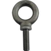 Alloy Steel Eye Bolt, 1-3/8" Dia., 1-3/4" L, 4300 lbs./4300 lbs. (2.15 tons) Capacity FMT Sales Ltd