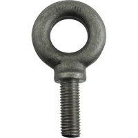 Alloy Steel Eye Bolt, 1-11/16" Dia., 2-1/4" L, 8800 lbs./8800 lbs. (4.4 tons) Capacity FMT Sales Ltd