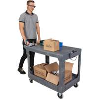 Flat-Shelf Utility Service Cart, 2 Tiers, 25-1/4" x 32-1/4" x 44", 550 lbs. Capacity FMT Sales Ltd