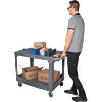 Flat-Shelf Utility Service Cart, 2 Tiers, 25-1/4" x 32-1/4" x 44", 550 lbs. Capacity FMT Sales Ltd