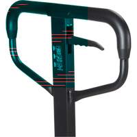 Quick-Lift Manual Pallet Truck, Steel, 36" L x 27" W, 5500 lbs. Capacity FMT Sales Ltd