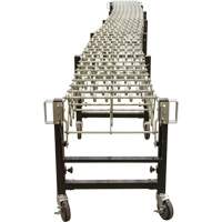 Expandable Conveyor, 18" W x 12' L, 200 lbs. per lin. ft. Capacity FMT Sales Ltd