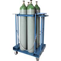 Support de rangement pour 4 cylindres pour chariot &eacute;l&eacute;vateur FMT Sales Ltd