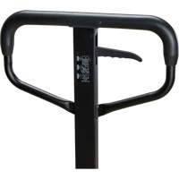 Steel Wheel Pallet Truck, Steel, 48" L x 27" W, 5500 lbs. Capacity FMT Sales Ltd