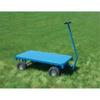 Outdoor Platform Wagon Truck, 24" W x 48" L, 1000 lbs. Capacity FMT Sales Ltd