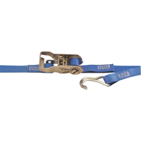 Heavy-Duty Utility Straps, Wire Hook, 1" W x 13' L, 167 lbs. (76 kg) Working Load Limit FMT Sales Ltd