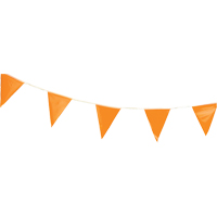 Pennants, 60' L, Orange FMT Sales Ltd