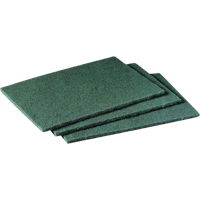 Scotch-Brite Hand Pads, 9" L x 6" W FMT Sales Ltd