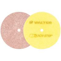 Quick-Step Instant Polish Discs, 5" Dia. FMT Sales Ltd