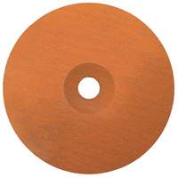 Coolcut XX Sanding Disc, Aluminum Oxide/Ceramic, 24, 7" Dia x 7/8" Arbor FMT Sales Ltd