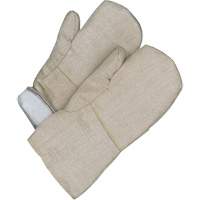 Gander Brand Mitt, Fibreglass, One Size, Protects Up To 608° F (320° C ) FMT Sales Ltd