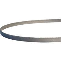 Master-Band&reg; Portable Band Saw Blades, Bi-Metal, 18 TPI, 44-7/8" L x 1/2" W FMT Sales Ltd