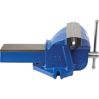 Mechanic's Vise, 8" Jaw Width, 4" Throat Depth FMT Sales Ltd