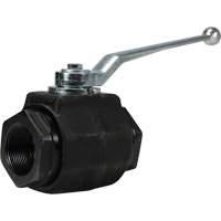 High Pressure Full-Bore Ball Valve, Steel, Manual, FNPT x FNPT FMT Sales Ltd