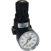 Wilkerson Miniature Regulator R04, 1/4" NPT, 300 psi Max. PSI, Standard FMT Sales Ltd