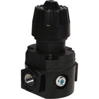 Wilkerson Compact Regulator R16, 1/4" NPT, 300 psi Max. PSI, Standard FMT Sales Ltd